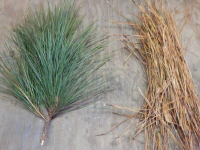How to Make a Pine Needle Hand Broom, with DIY Video Image